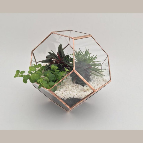 glass terrarium