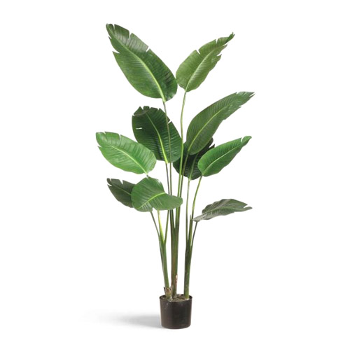 faux plant