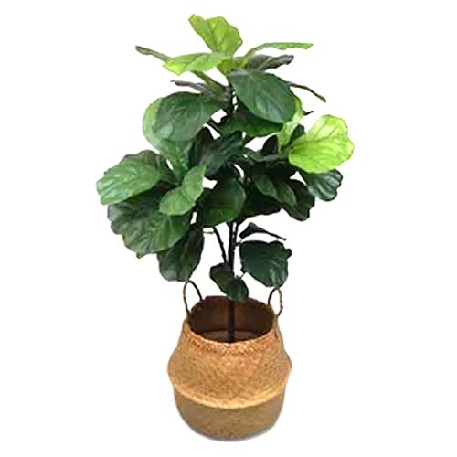 faux fiddle leaf plant