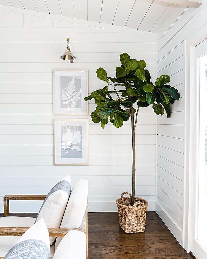 best faux fiddle leaf fig trees you can buy online