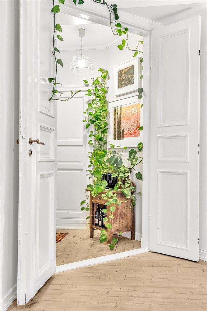 plants are always a part of scandinavian decor