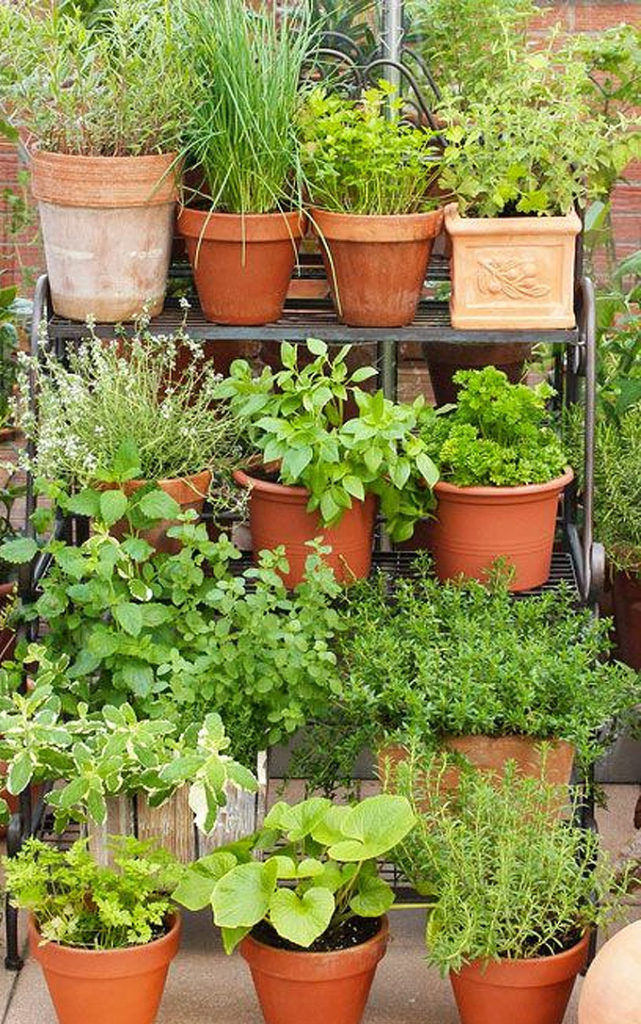 container gardens are perfect for small balconies