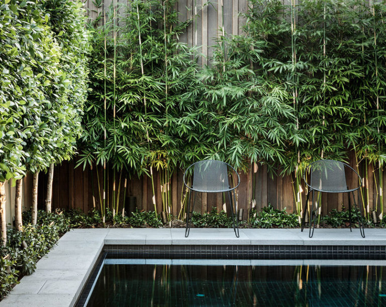 Best Artificial Bamboo Plants (perfect for outdoor privacy screens!)