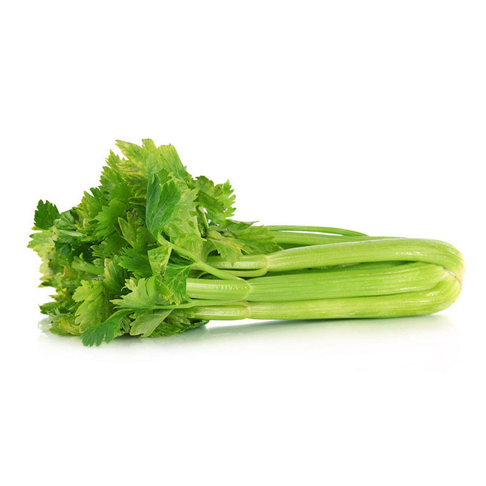 celery can be grown in water easily