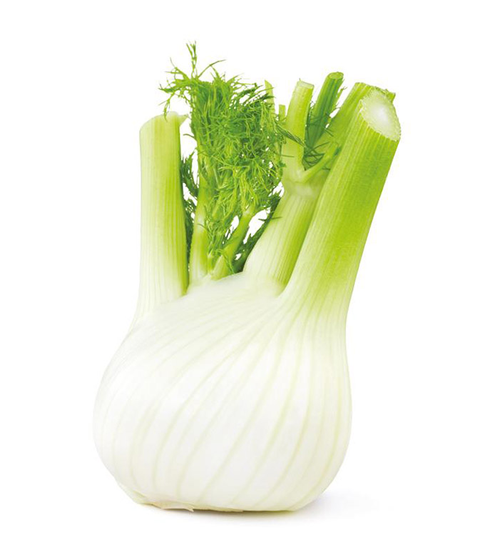 fennel: easy vegetable to grow in water!