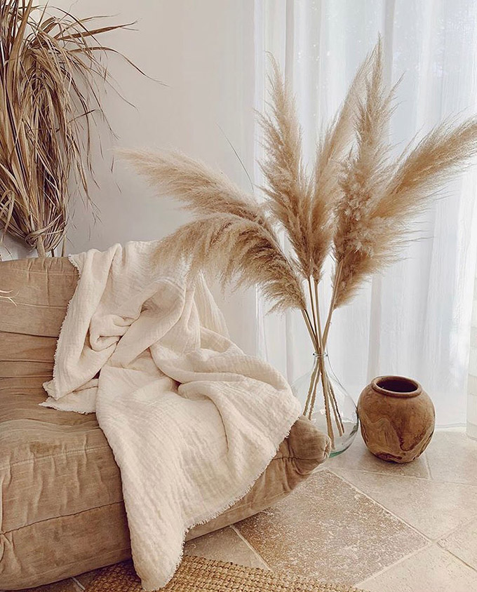 cozy nook with pampas grass