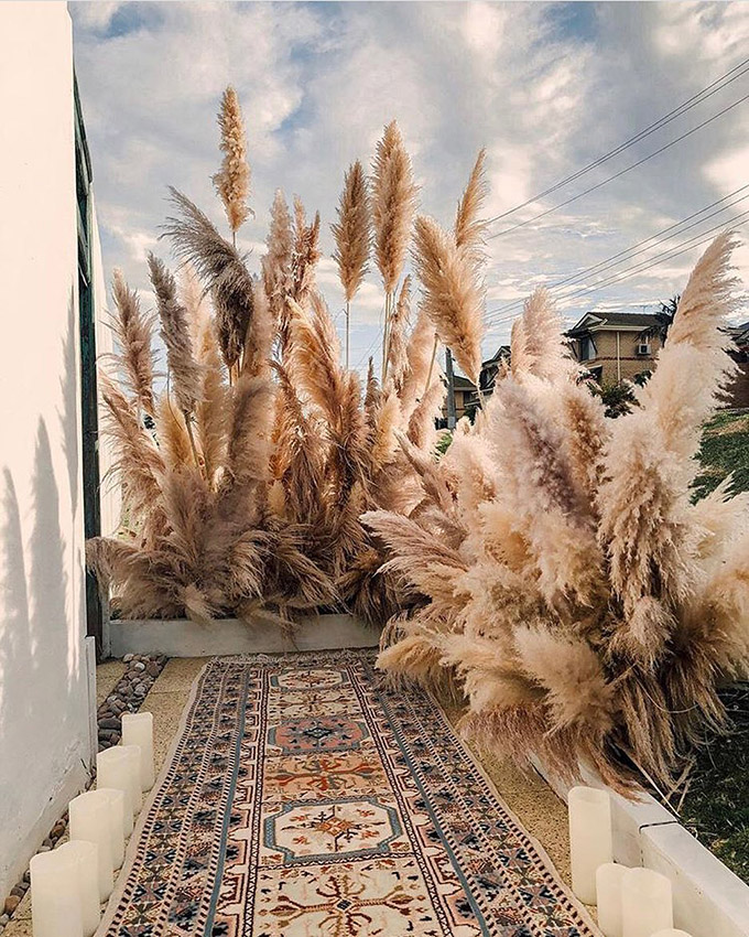 Decorative Pampas Grass Bundle Set of 3