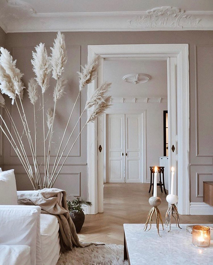 pampas grass living room