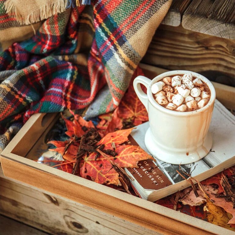 How To Make Your Home Cozy for the Fall Season (easy tips to do right now!)