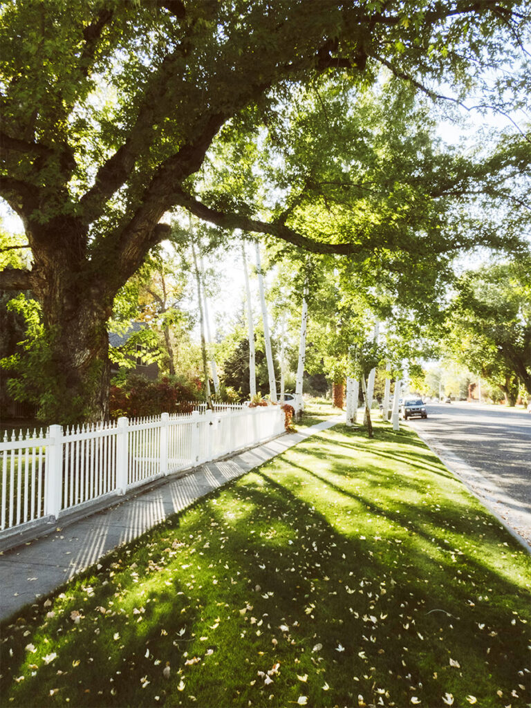 the perfect place to build a dream home: in a neighborhood with white picket fences