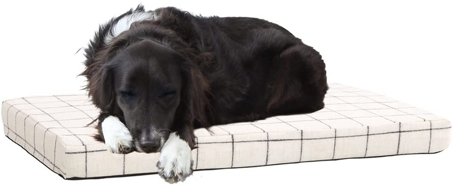 checkerboard platform dog bed